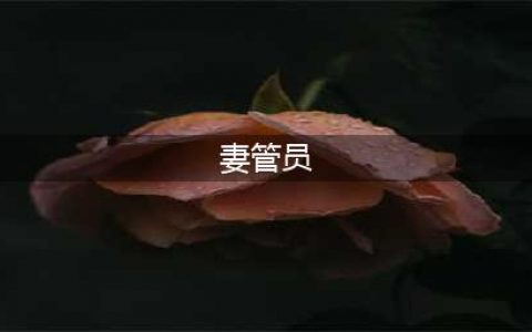 “妻管员”代表人物“烧饼”，深得老婆的好评，郭德纲吃醋了！(妻管员)