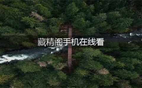 毒奶嘴惨遭封印，藏精阁喜迎新宾！(藏精阁手机在线看)