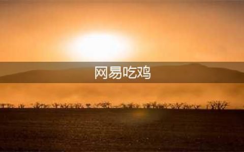 暴雪终于决定搞吃鸡 网易吃鸡游戏新作吊打堡垒之夜？(网易吃鸡)