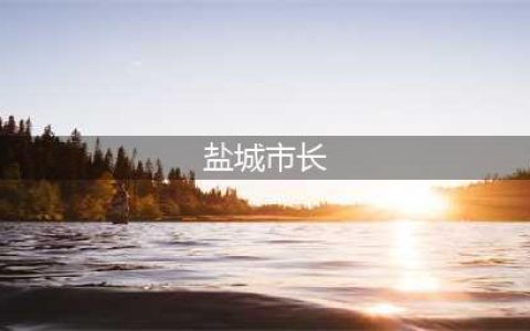 刚刚，张明康当选盐城市市长(盐城市长)