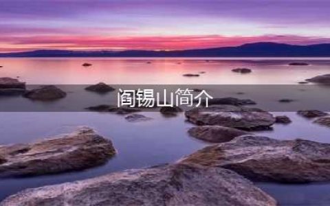阎锡山“主张公道”纪念章简介(阎锡山简介)