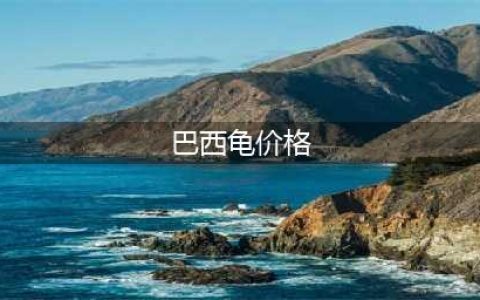 这几个小宠物，不仅便宜而且好养，有你喜欢的吗？(巴西龟价格)