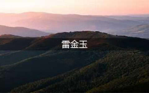 八代巨匠 数百年传奇的“样式雷”家族(雷金玉)