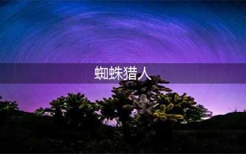 蜘蛛猎人好玩吗 蜘蛛猎人玩法简介