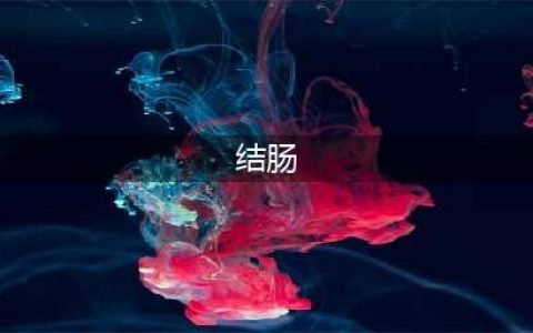【内脏与疼痛】结肠的组织结构(结肠)