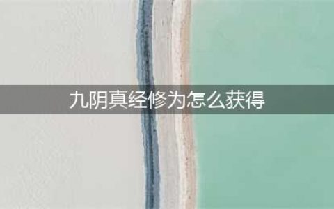 九阴真经修为获得方式介绍 你的修为够用吗(九阴真经修为怎么获得)