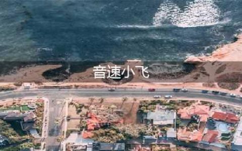 天天酷跑音速小飞爆分搭配 音速小飞高分技巧(音速小飞)