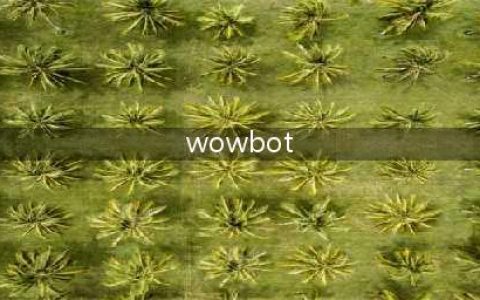 《魔兽世界》raidbot新功能有什么用 raidbot新功能介绍(wowbot)
