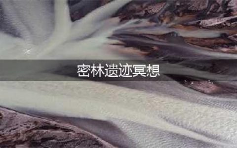 《光遇》密林遗迹冥想任务怎么做 遗迹冥想任务攻略