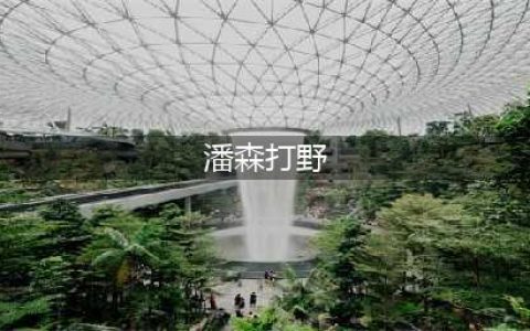 《英雄联盟》s11潘森打野出装方法分享(潘森打野)