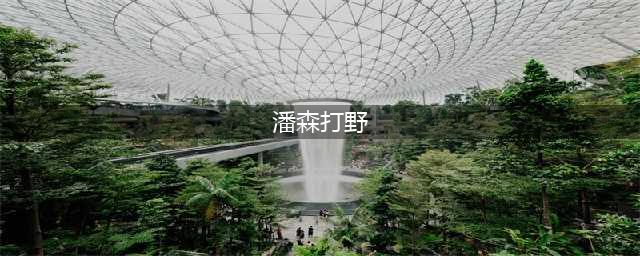 《英雄联盟》s11潘森打野出装方法分享(潘森打野)