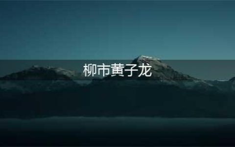 温州富二代全名单！最有钱的竟然是他！(柳市黄子龙)