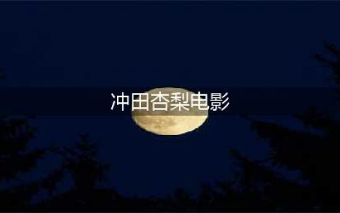 貌似有冲田杏梨参演的一部日本狗仔队电影，开篇结尾有震惊(冲田杏梨电影)