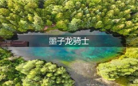 《王者荣耀》墨子龙骑士皮肤特效介绍