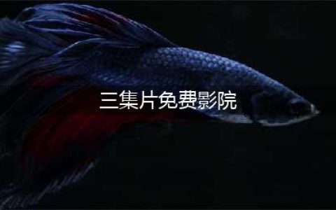 尺度够大，又一部让我惊艳的三集片(三集片免费影院)