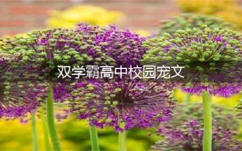 五本男女主双学霸的甜宠文：糖分过量甜到苏，学习恋爱两不误(双学霸高中校园宠文)