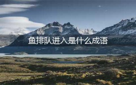 鱼排队进入打一成语答案是什么？(鱼排队进入是什么成语)