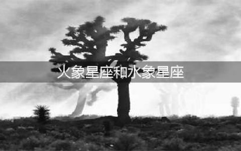 四象星座相生相克表，水象和火象合得来吗(火象星座和水象星座)