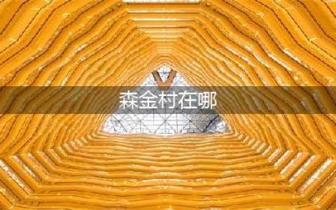 《魔兽世界》怀旧服去森金村报到任务怎么做 去森金村报到任务攻略(森金村在哪)