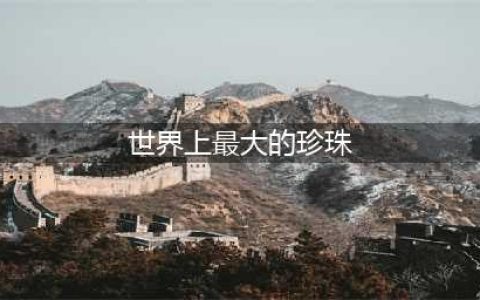 颠覆想象，有史以来发现的9颗世界最大珍珠(世界上最大的珍珠)