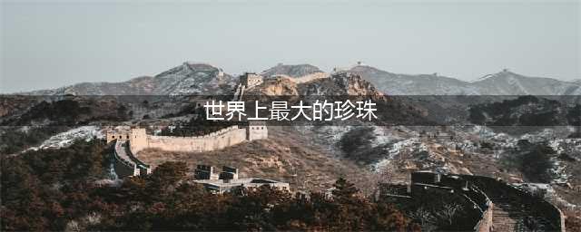 颠覆想象，有史以来发现的9颗世界最大珍珠(世界上最大的珍珠)