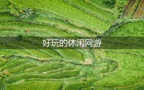 休闲网络游戏排行榜前十名2021 休闲网络游戏大全(好玩的休闲网游)
