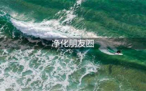 党员干部要自动净化“朋友圈”“社交圈”(净化朋友圈)