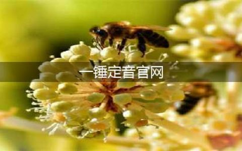 《CF》手游2018一锤定音2月官网活动地址 全新角色和英雄武器加入