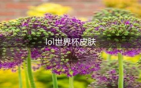 英雄联盟LOL2018世界杯系列皮肤介绍(lol世界杯皮肤)