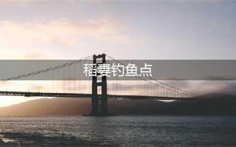 原神稻妻钓鱼点一览