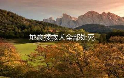 汶川地震搜救犬全部处死，是给谁陪葬吗?别再信了，都是谣言！(地震搜救犬全部处死)