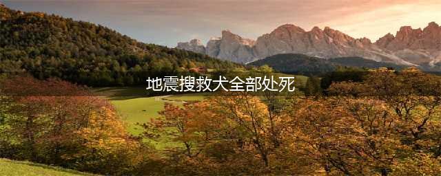 汶川地震搜救犬全部处死，是给谁陪葬吗?别再信了，都是谣言！(地震搜救犬全部处死)