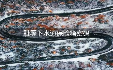 《耻辱》游戏保险箱密码介绍