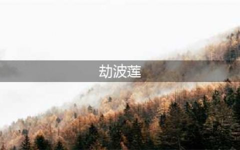 《原神》劫波莲采集路线一览