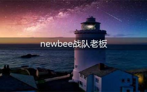 Newbee老板携三位DOTA2 TI冠军选手成立Newbee.B战队(newbee战队老板)