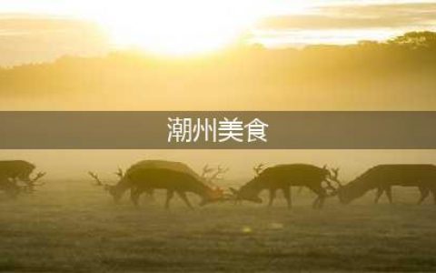 舌尖上的潮汕，为你带来100种潮汕美食图解(潮州美食)