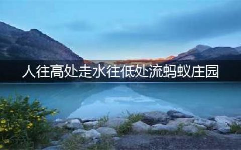 俗话说人往高处走，水往低处流，那水有可能往高处流吗？蚂蚁庄园今日答案(人往高处走水往低处流蚂蚁庄园)