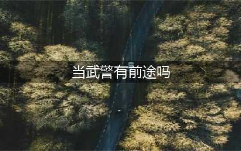 参军当武警前途怎么样？(当武警有前途吗)