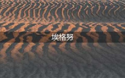 朱婷率队大胜强敌，决赛一步之遥，埃格努实力难敌(埃格努)