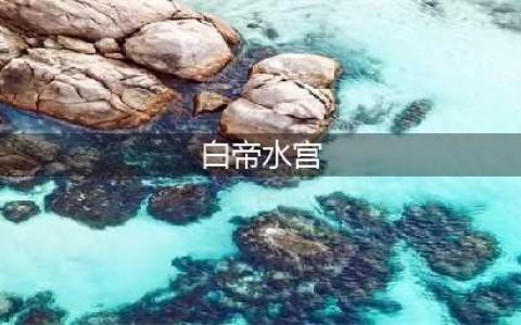 剑网3白帝水宫怎么打 白帝水宫打法攻略