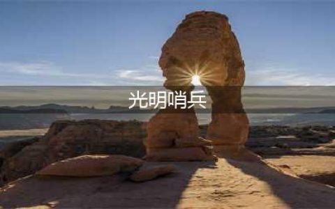 云顶之弈光明哨兵阵容玩法详解