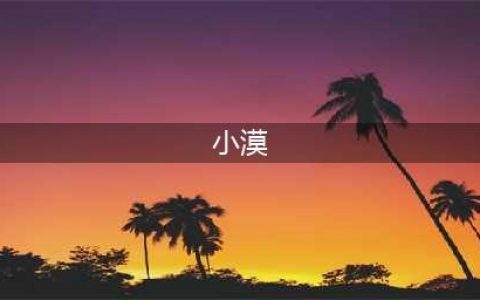 国服第一小漠偷税漏税！直接被罚！(小漠)